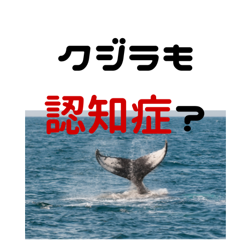 クジラの認知症